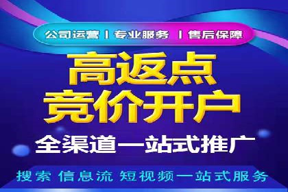 案例解析：成功SEM运营之道